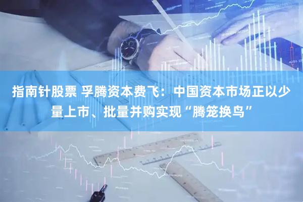指南针股票 孚腾资本费飞：中国资本市场正以少量上市、批量并购实现“腾笼换鸟”
